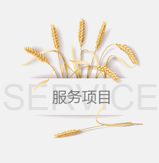 米兰·(milan)中国官方网站
